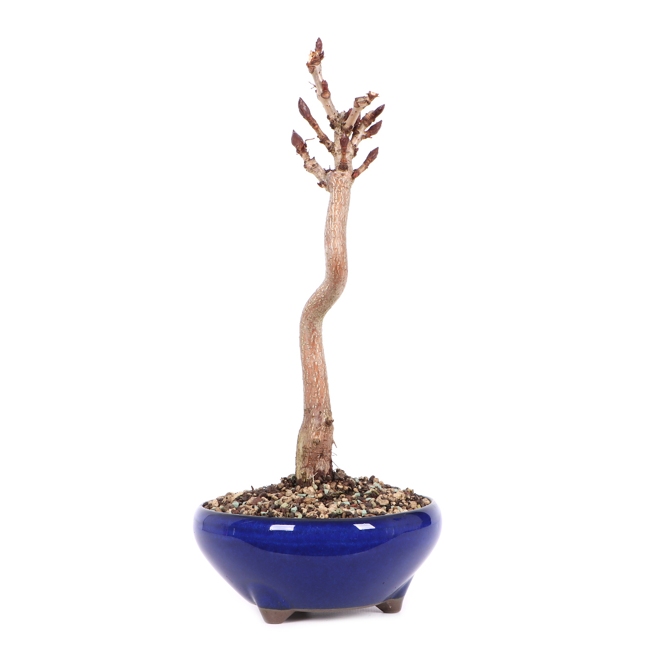 Seitenansicht rechts