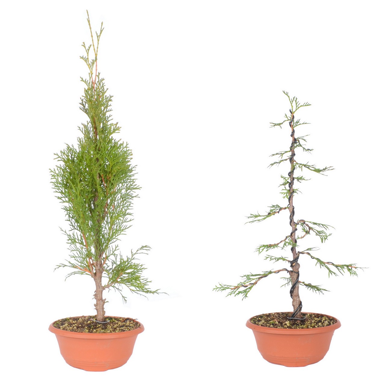 Gestaltungsbeispiel vorher - nachher