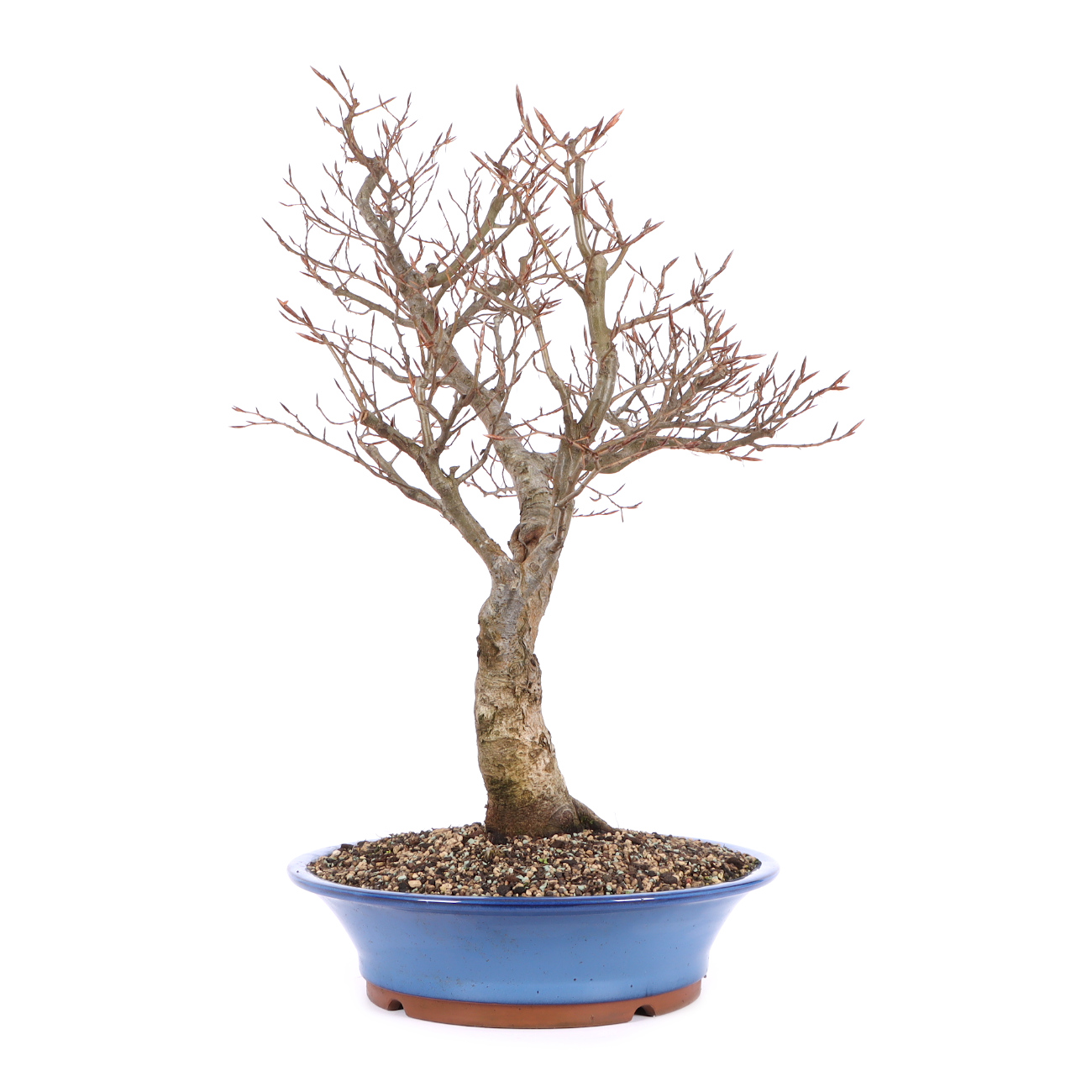 Seitenansicht rechts