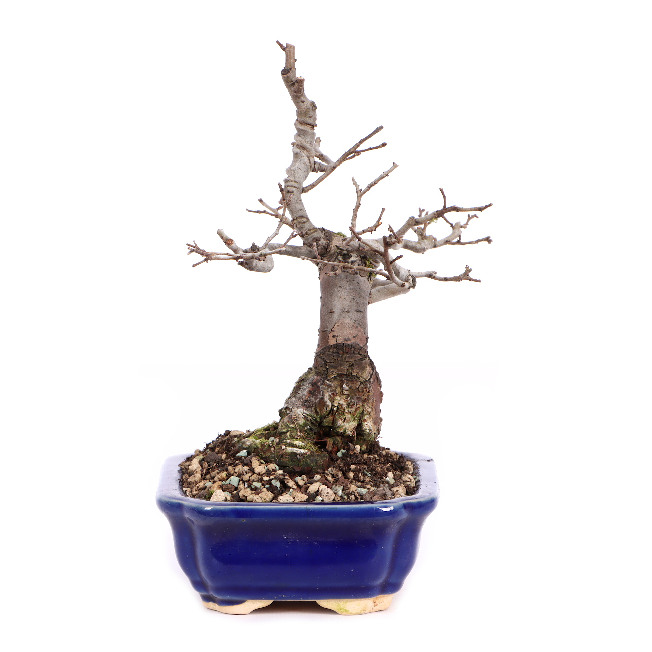 Seitenansicht rechts