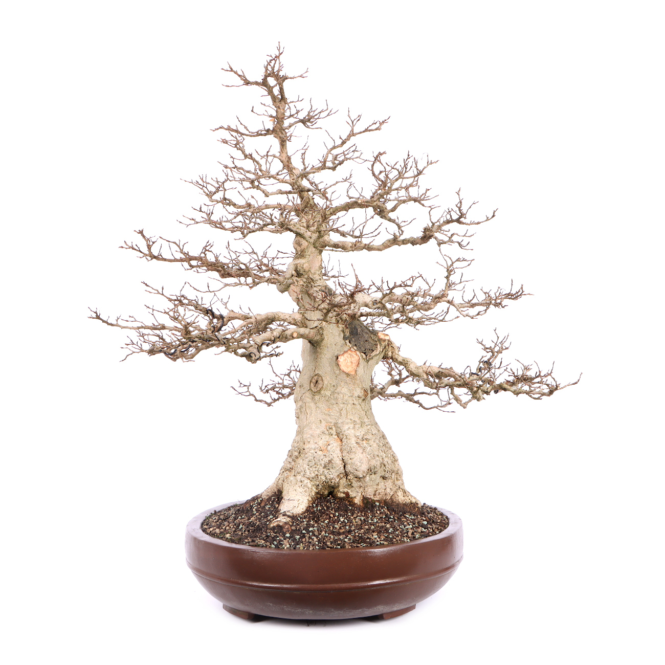 Seitenansicht rechts