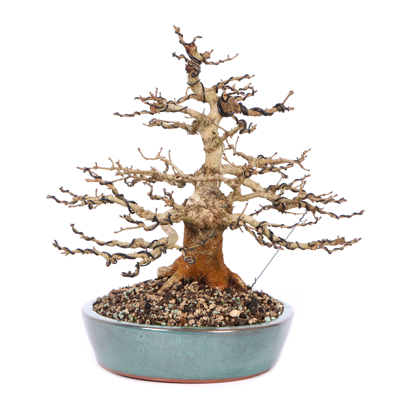 Seitenansicht rechts