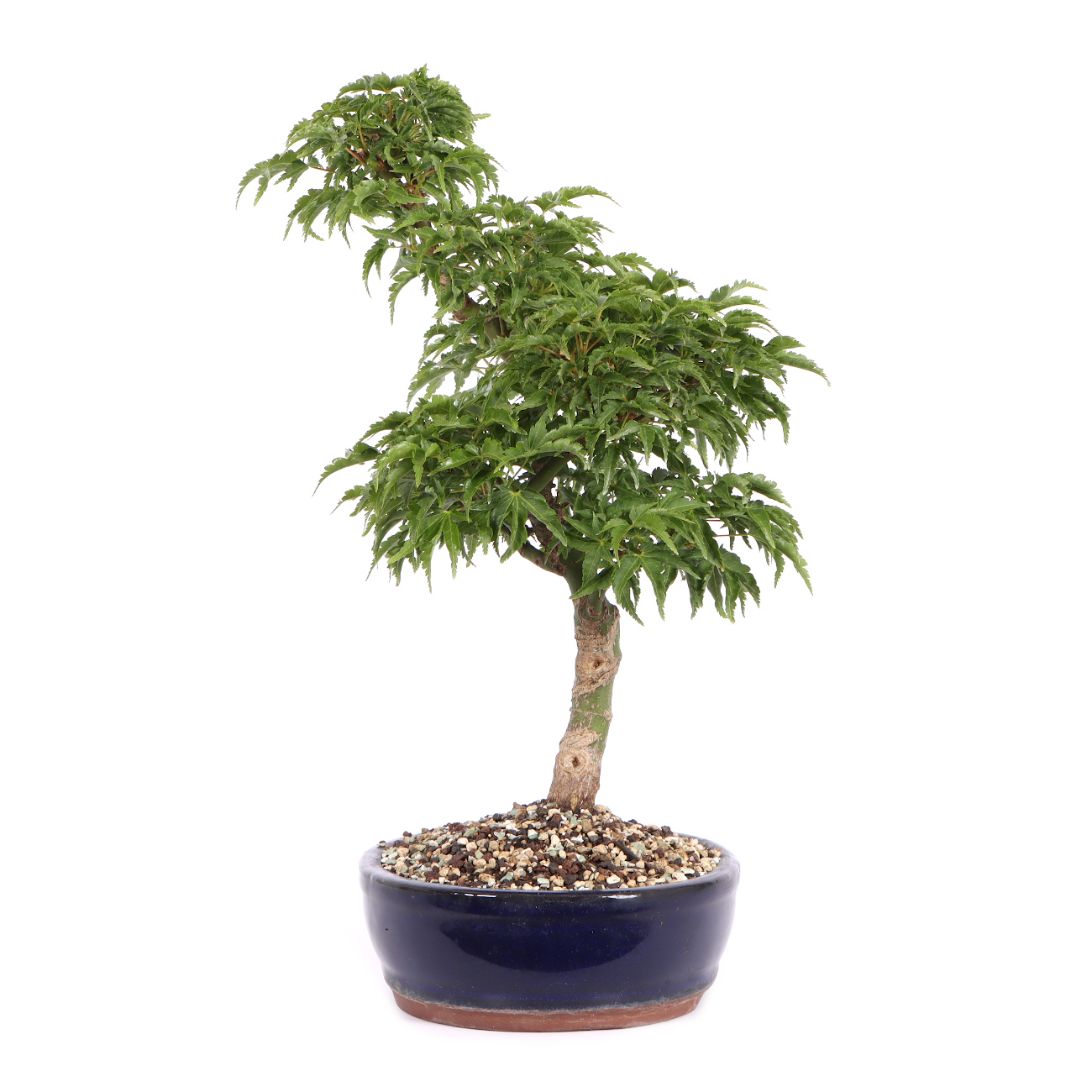 Seitenansicht rechts