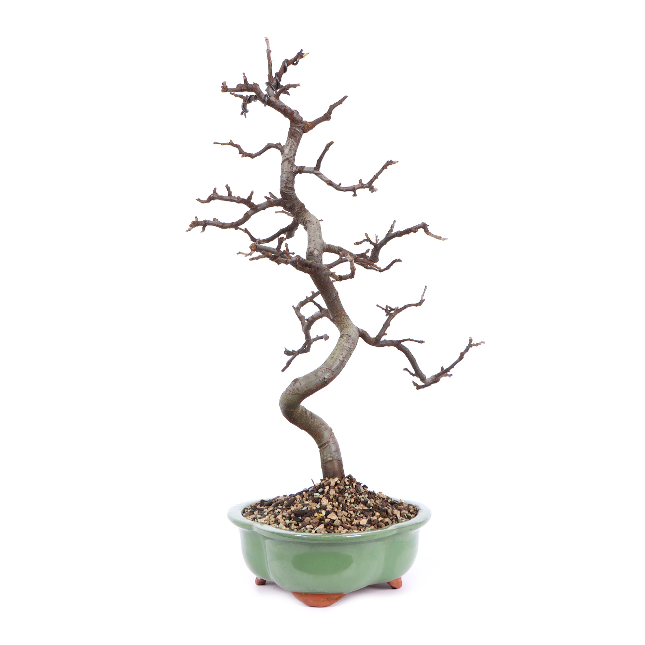 Seitenansicht rechts