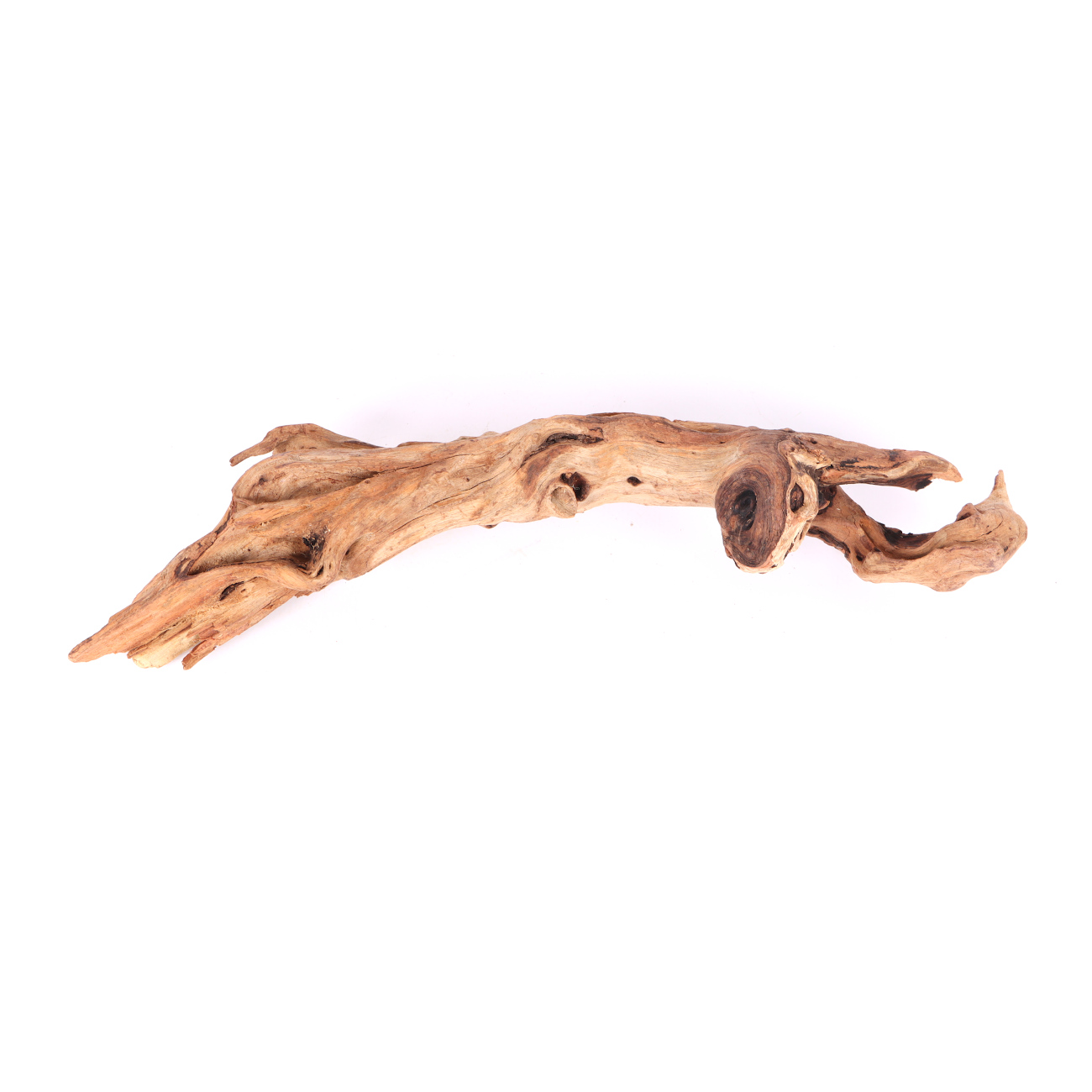 Tanuki-Holz