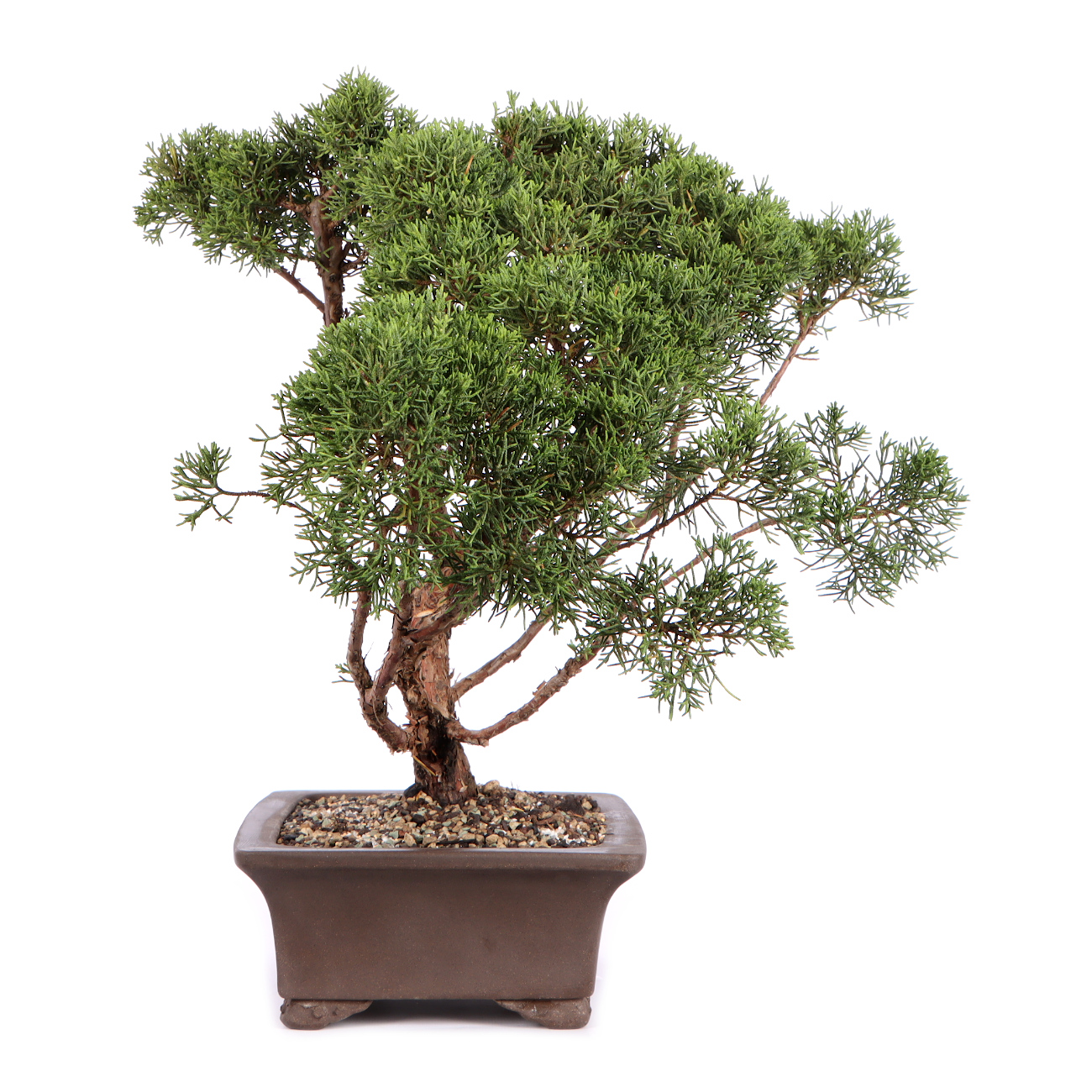 Seitenansicht rechts