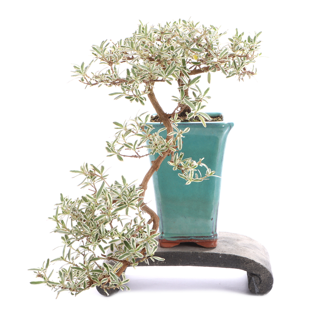 Seitenansicht rechts