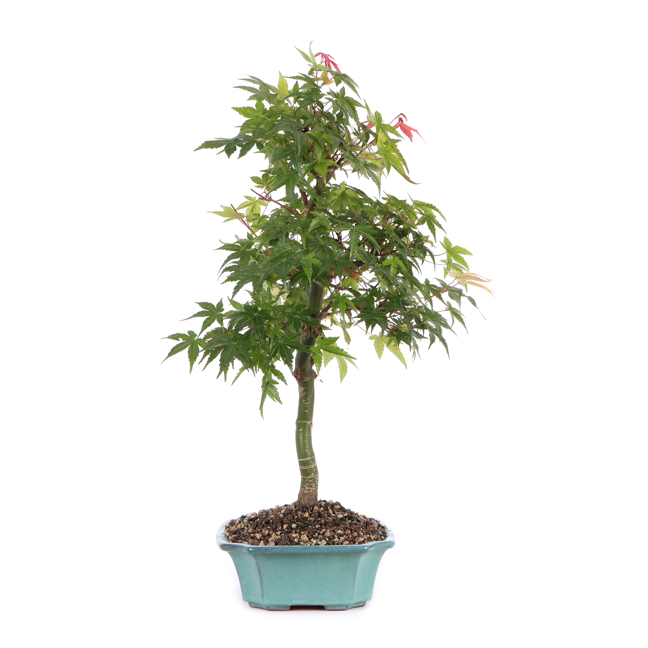 Seitenansicht rechts