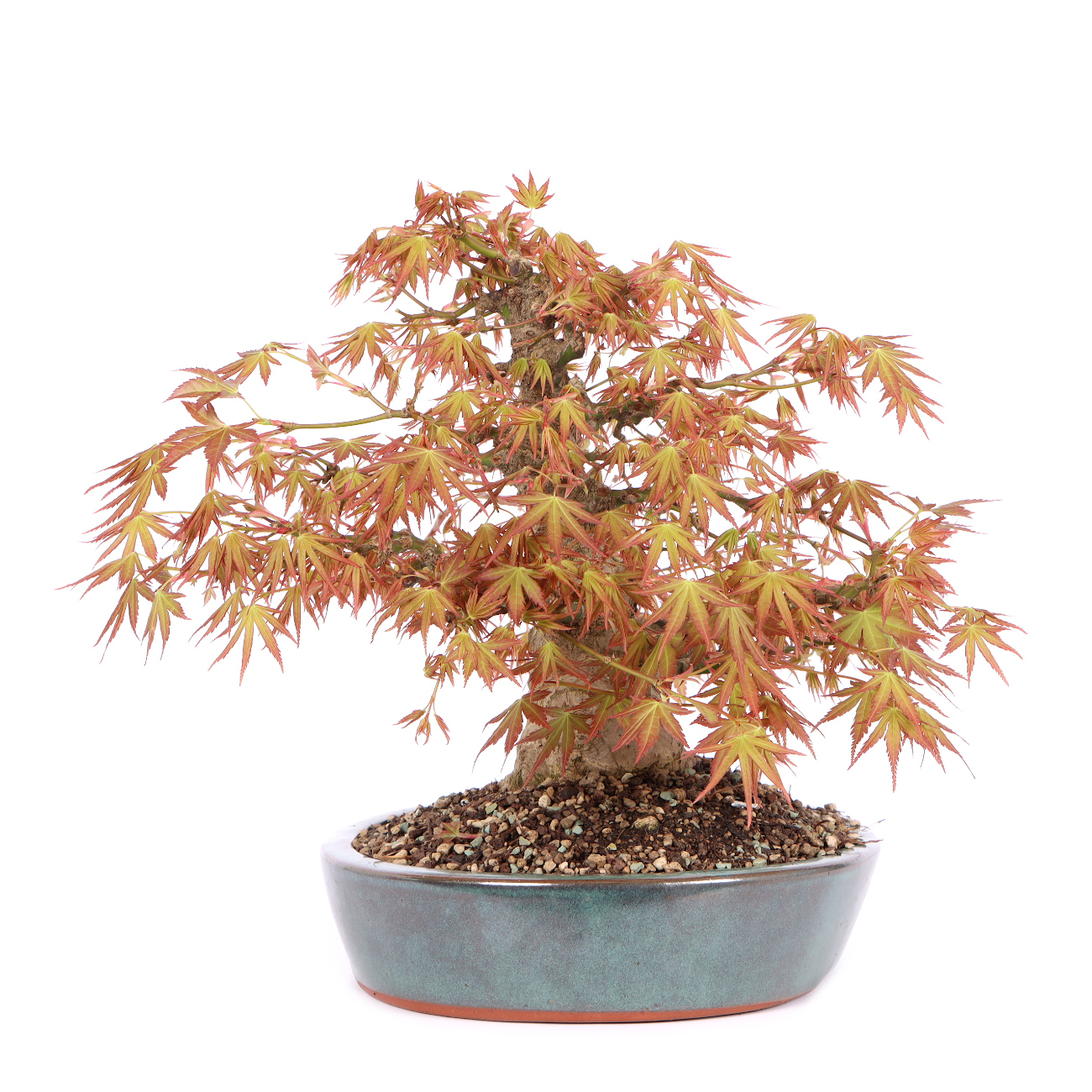 Seitenansicht rechts