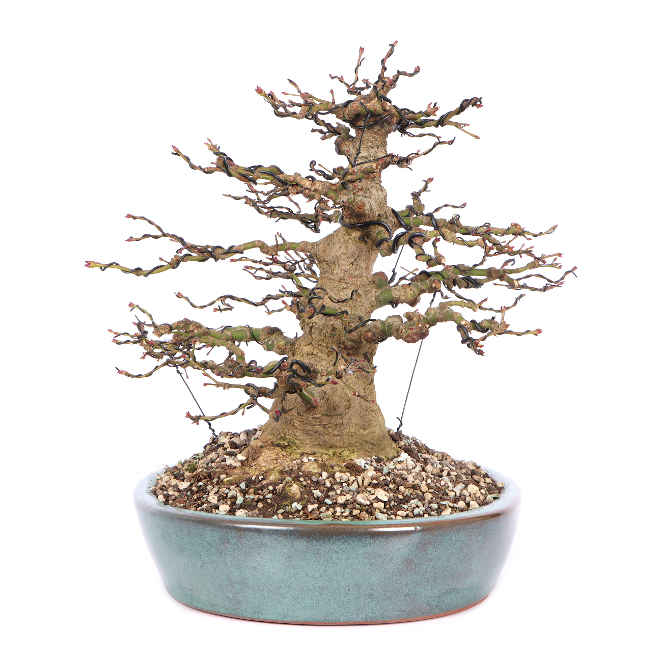 Seitenansicht rechts