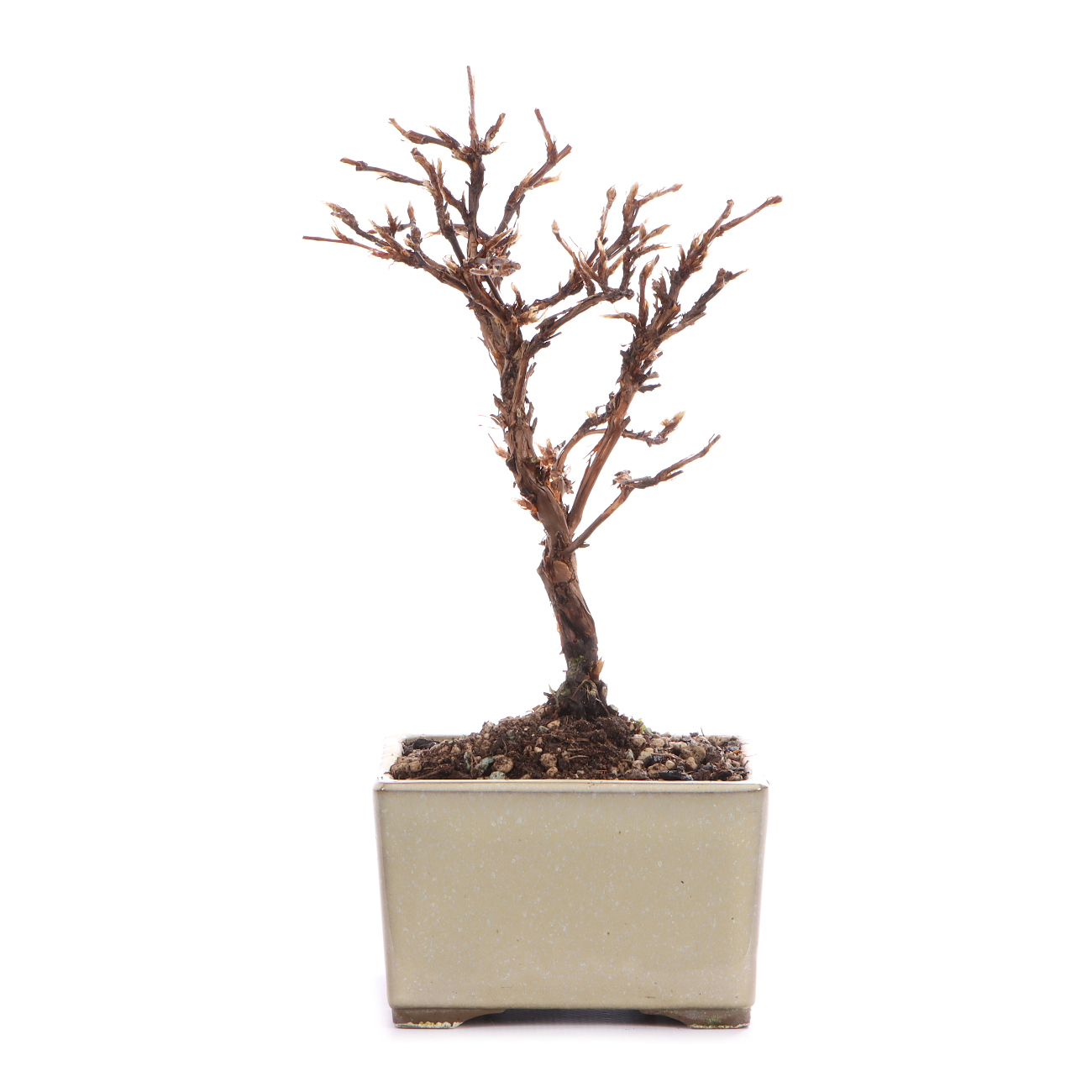 Seitenansicht rechts