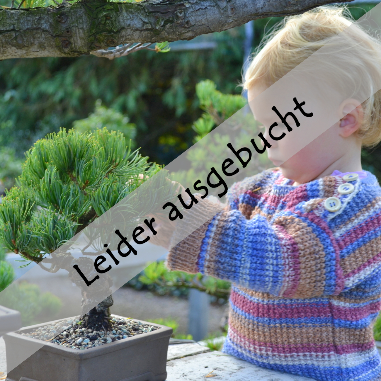 Anfängerkurs am 21.02.2026