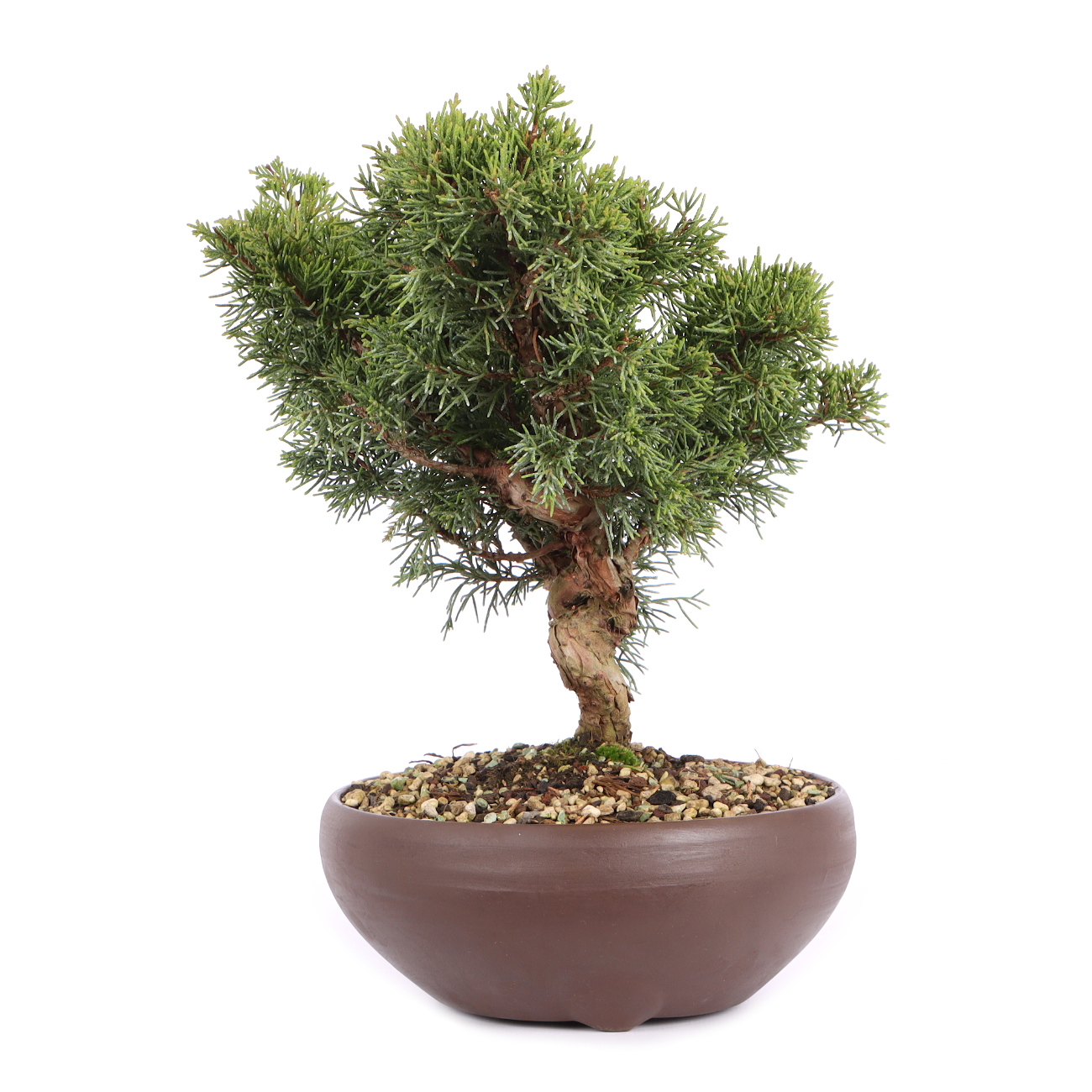 Seitenansicht rechts