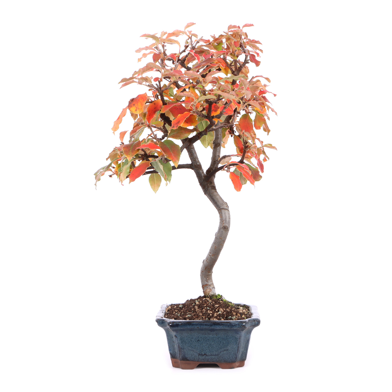 Seitenansicht rechts