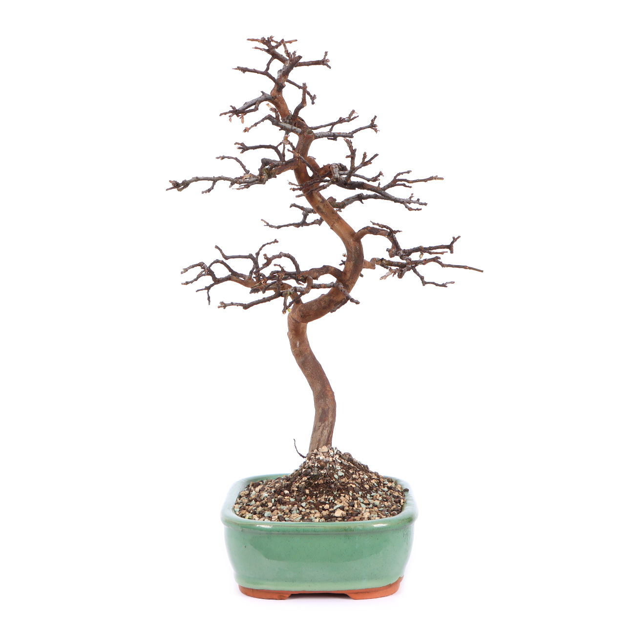 Seitenansicht rechts