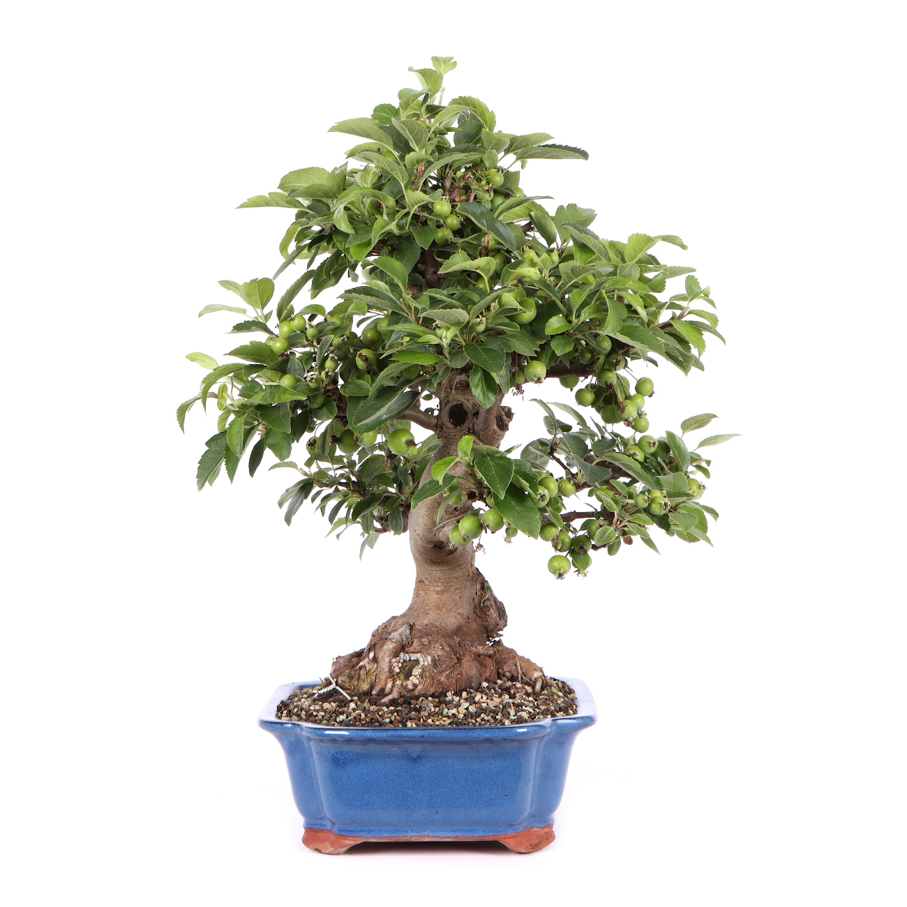 Seitenansicht rechts