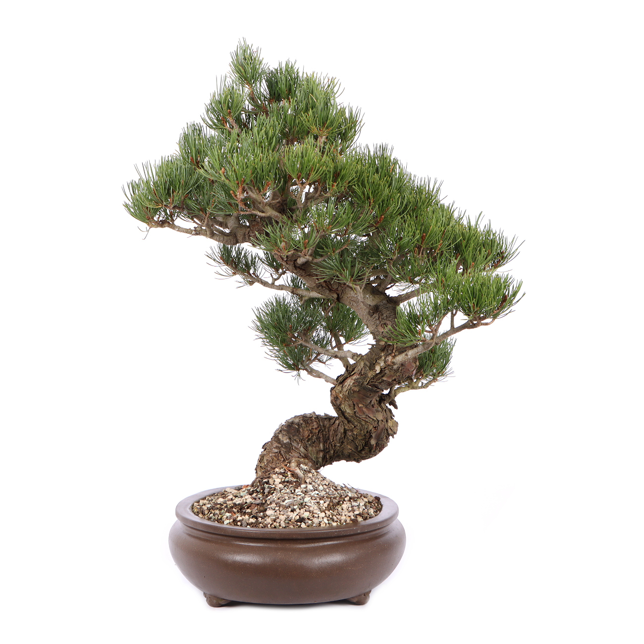 Seitenansicht rechts