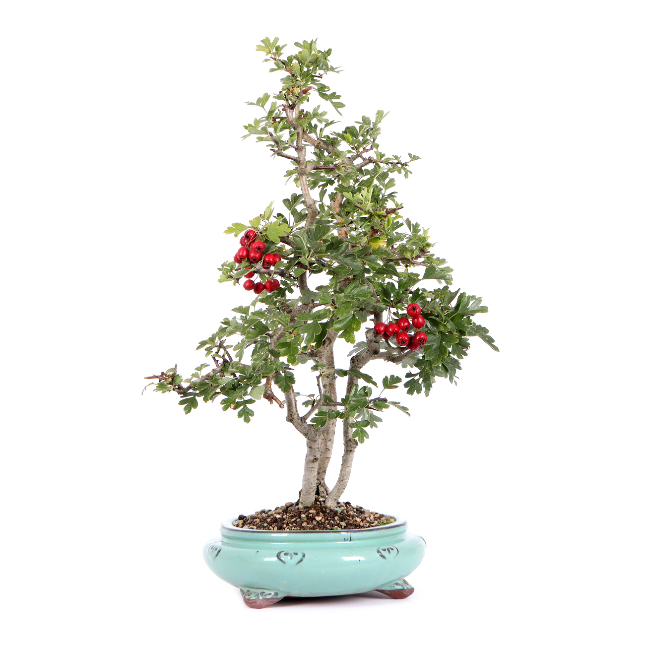 Seitenansicht rechts