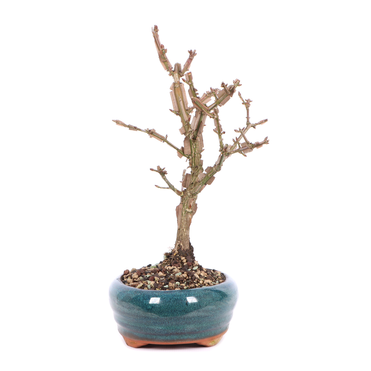 Seitenansicht rechts