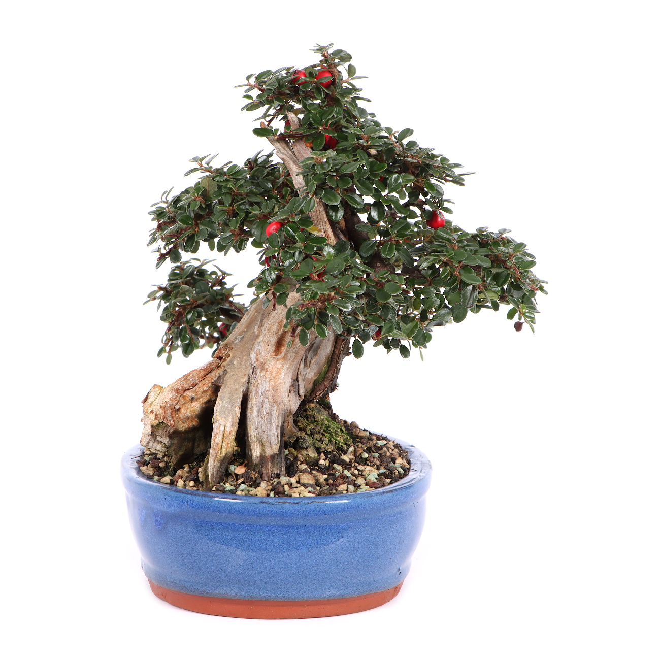 Seitenansicht rechts