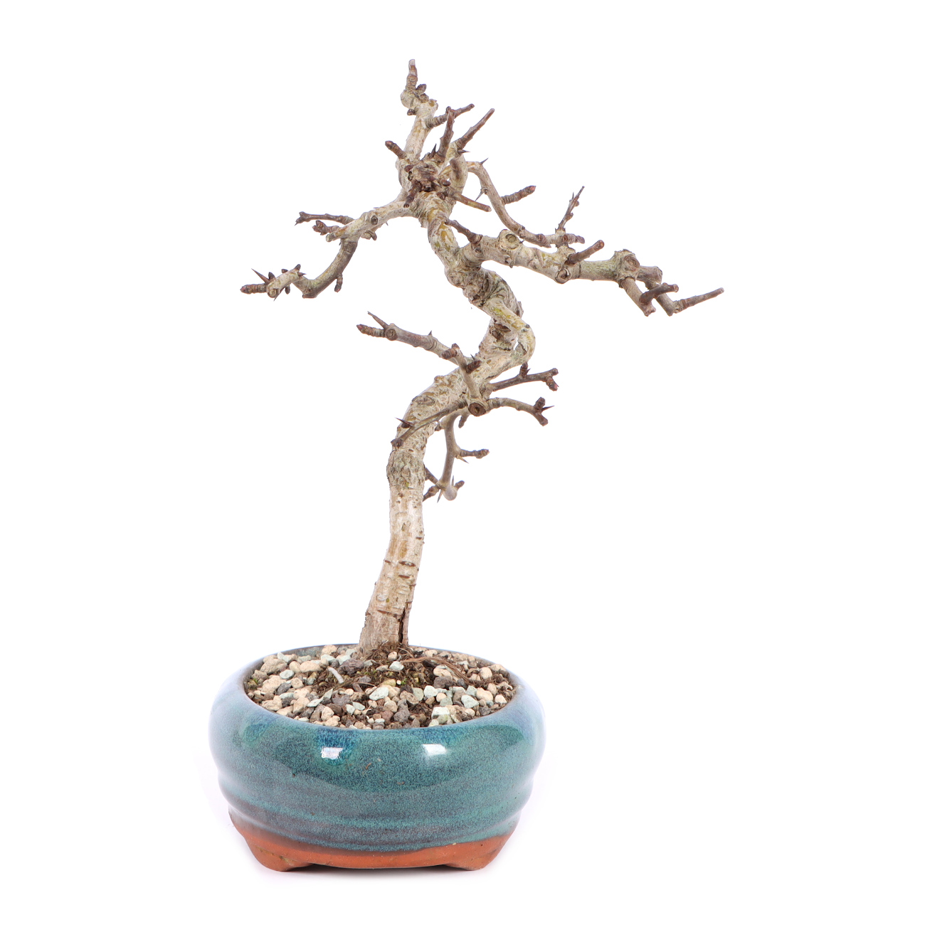 Seitenansicht rechts