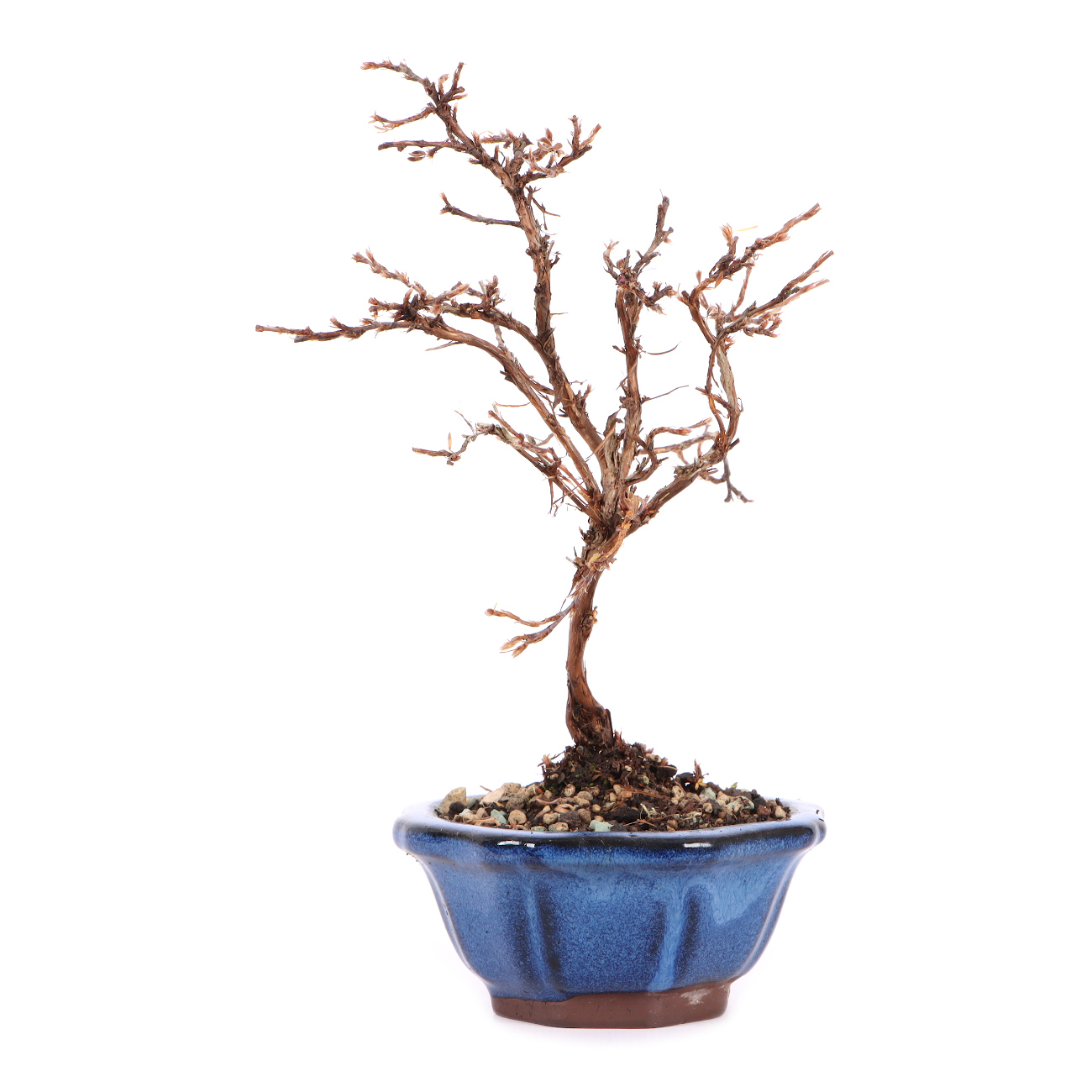 Seitenansicht rechts