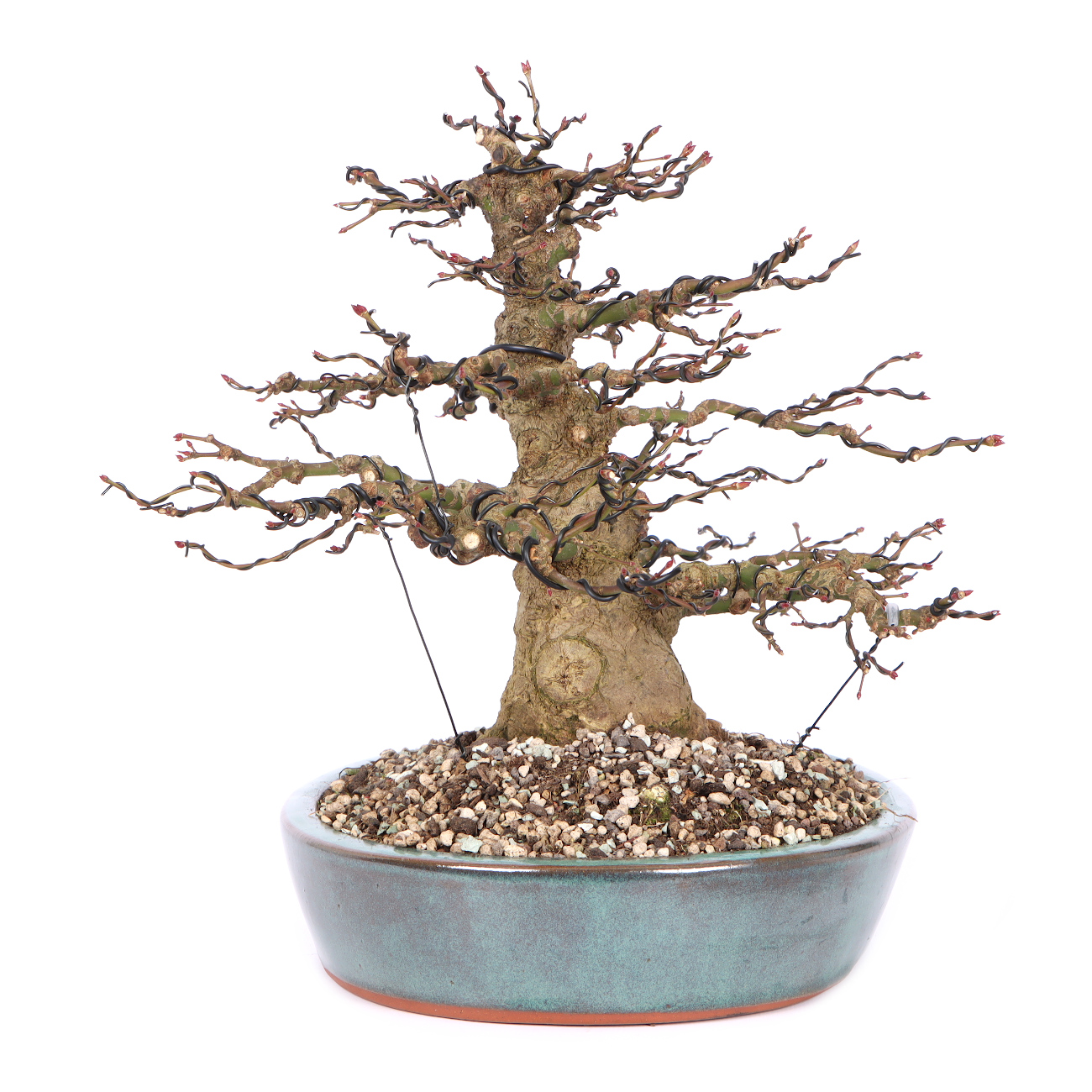 Seitenansicht rechts