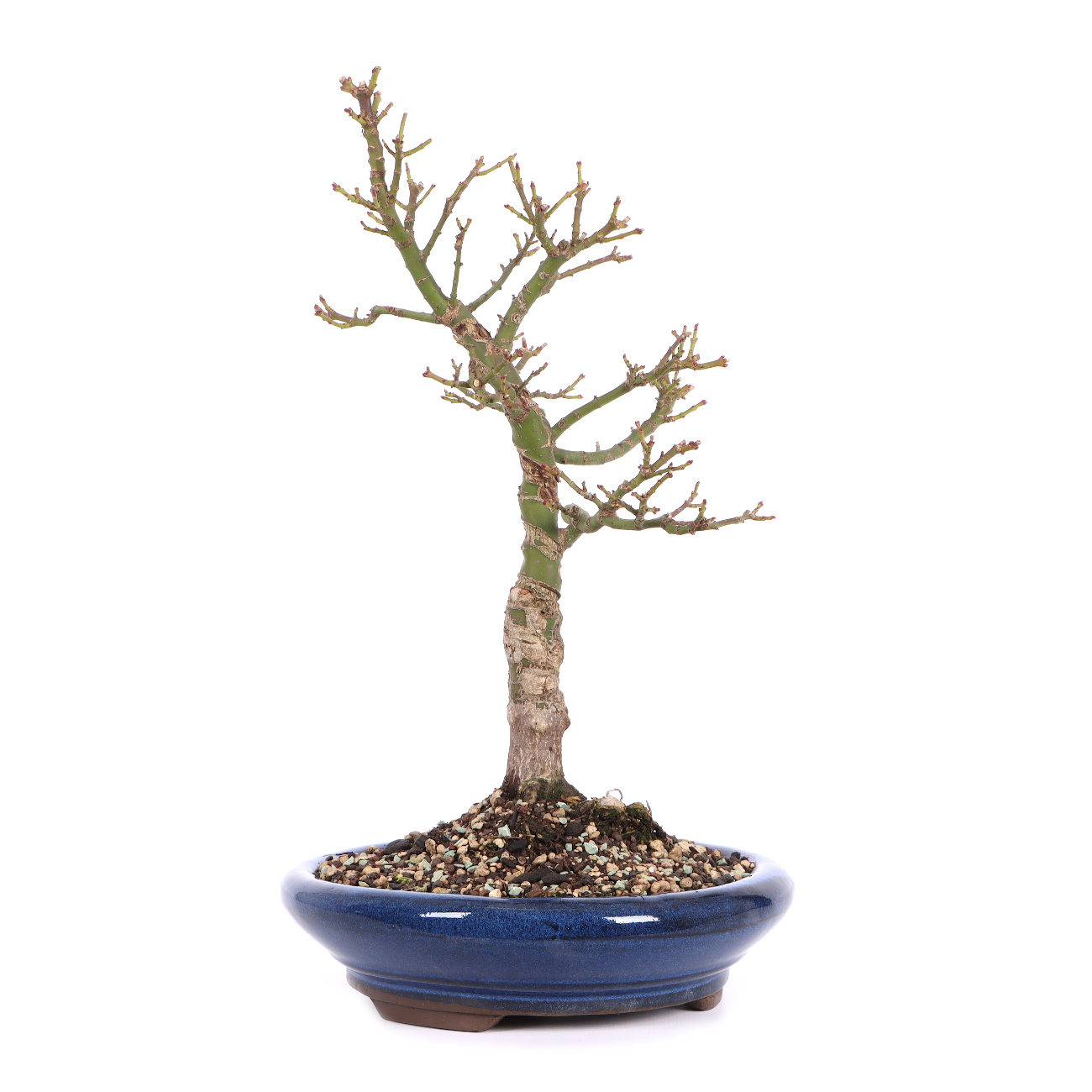 Seitenansicht rechts